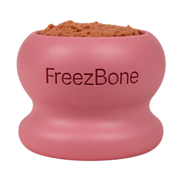 Freezbone™ Frozen Enrichment Toy